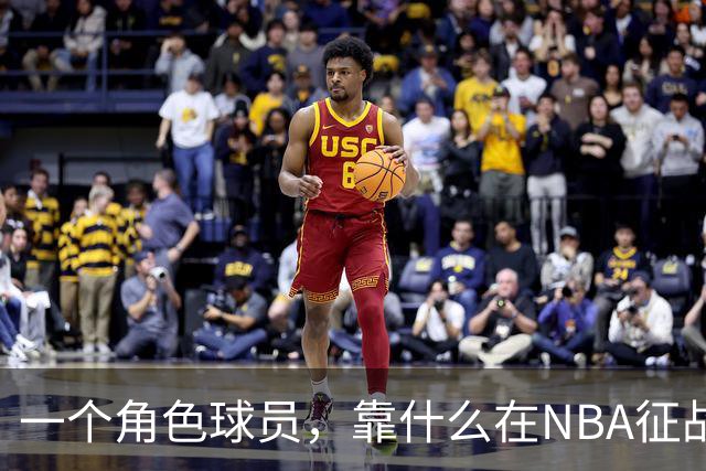 一个角色球员,靠什么在NBA征战17年